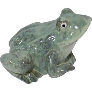 DEKORAČNÍ ŽÁBA obraz