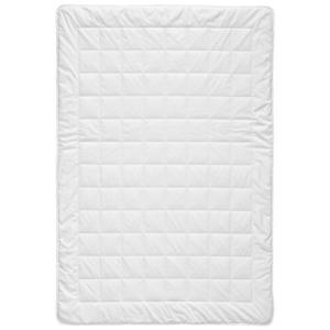 Billerbeck LETNÍ PŘIKRÝVKA, 135/200 cm, polyester, bambus obraz