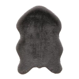 Novel UMĚLÁ KOŽEŠINA, 60/90 cm, šedá obraz