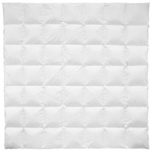 Billerbeck CELOROČNÍ PŘIKRÝVKA, 200/200 cm, prachové peří obraz