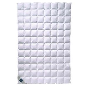 Billerbeck LETNÍ PŘIKRÝVKA, 135/200 cm, prachové peří obraz