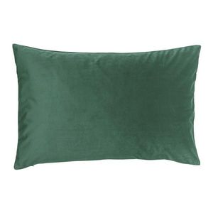 Novel POTAH NA POLŠTÁŘ 40/60 cm obraz