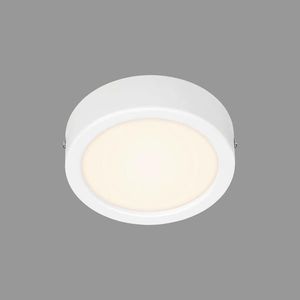 STROPNÍ LED SVÍTIDLO, 12, 0/3, 2 cm obraz