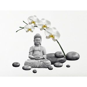 Euroart SAMOLEPKA NA ZEĎ obraz