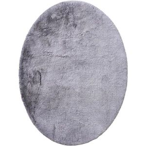 Novel KOBEREC S VYSOKÝM VLASEM, 70/130 cm, barvy stříbra obraz