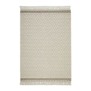 Linea Natura RUČNĚ TKANÝ KOBEREC, 160/230 cm, barvy stříbra, béžová obraz