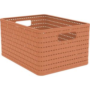 Rotho ÚLOŽNÝ BOX, plast obraz