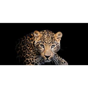 MALBA NA PLÁTNĚ, zvířata, 115/55/3 cm obraz