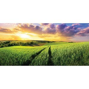 Euroart MALBA NA PLÁTNĚ, krajina a příroda, 115/55 cm obraz