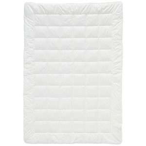 Billerbeck LETNÍ PŘIKRÝVKA, 135/200 cm, polyester, duté vlákno obraz