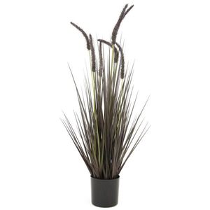 Ambia Home DEKORAČNÍ TRÁVA, obraz