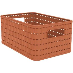 Rotho ÚLOŽNÝ BOX, plast obraz