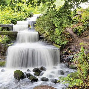 Euroart OBRAZ NA SKLE, krajina a příroda, 30/30/1, 40 cm obraz