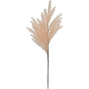 Ambia Home UMĚLÁ KVĚTINA pampová tráva 110 cm obraz