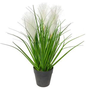 Ambia Home DEKORAČNÍ TRÁVA, 36 cm obraz