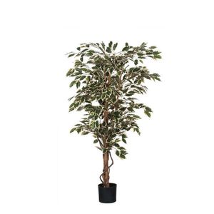 UMĚLÁ ROSTLINA obraz