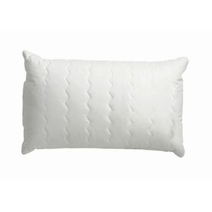 Centa-Star POLŠTÁŘ POD HLAVU, 40/60 cm obraz