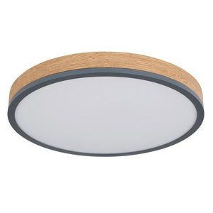 Globo STROPNÍ LED SVÍTIDLO, 45/8, 5 cm obraz