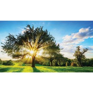 Euroart MALBA NA PLÁTNĚ, krajina a příroda, 180/100 cm obraz