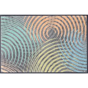 wash+dry DVEŘNÍ ROHOŽKA, 50/75 cm vícebarevná obraz