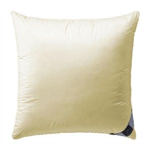 Billerbeck POLŠTÁŘ POD HLAVU, 80/80 cm obraz