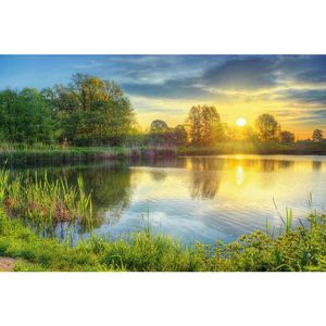 MALBA NA PLÁTNĚ, krajina a příroda, 80/120/3 cm obraz