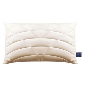 Billerbeck POLŠTÁŘ POD HLAVU, 40/80 cm obraz