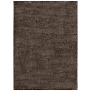 TKANÝ KOBEREC, 200/300 cm hnědá obraz