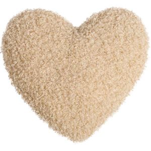 Ambia Home KOŽEŠINOVÝ POLŠTÁŘ 40/40 cm obraz