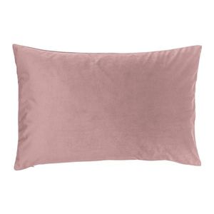 Novel POTAH NA POLŠTÁŘ 40/60 cm obraz