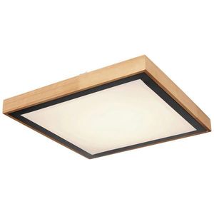 Novel STROPNÍ SVÍTIDLO, 39/39/9 cm obraz