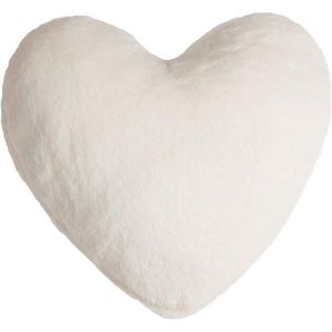 Ambia Home KOŽEŠINOVÝ POLŠTÁŘ 40/40 cm obraz