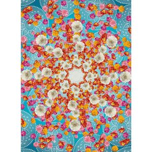 FOTOTAPETA velikost: 184/254 cm obraz