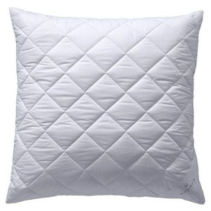 Billerbeck POLŠTÁŘ POD HLAVU, 80/80 cm obraz