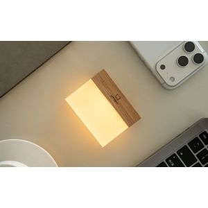 Lampička CuraCheese, více variant - Gingko Varianta: jasan obraz