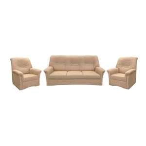 Kasvo ARETA 3R+1+1 obraz