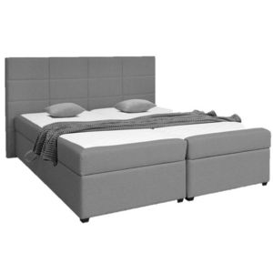 Kasvo RAENA 4M postel 180 cm PW 11 světle šedá obraz