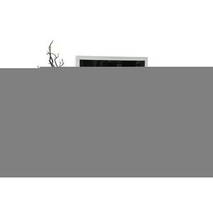 Kasvo GINA MEDIA TV stůl obraz