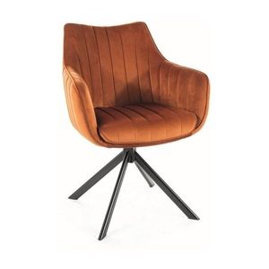 Kasvo ALZA (AZALIA) židle (S) nohy černé / látka bluvel 4215 obraz