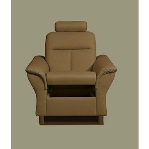 Kasvo THOMAS (TORONTO) křeslo (AKCE) Savana 25 obraz