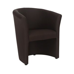 Kasvo BELIZE křeslo (K25) obraz