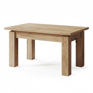 Kasvo INDRA konf.stůl 150x68x72 (K25) 243-0004 obraz