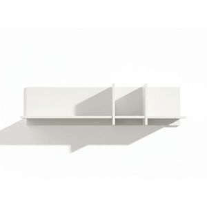 Kasvo TISANE police 120x30x25 (K25) 250-0214 obraz