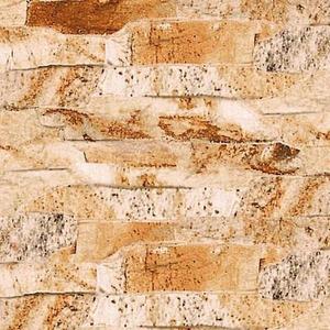 Fasádní Obklad Andes Tierra 32/48 obraz