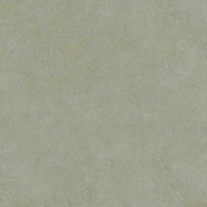 Dlažba Mrazuvzdorná Solid Béžová 80/80 obraz