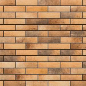Fasádní Obklad Loft Brick Curry 245/65/8 obraz