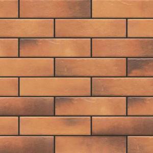 Fasádní Obklad Retro Brick Curry 245/65/8 obraz