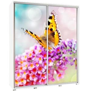 Skříň Penelopa 155 cm motýl 3 obraz