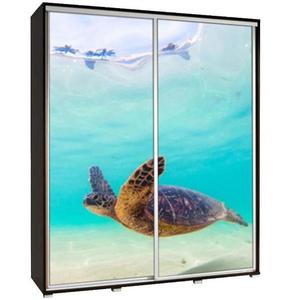 Skříň Penelopa 155 cm želva 2 obraz