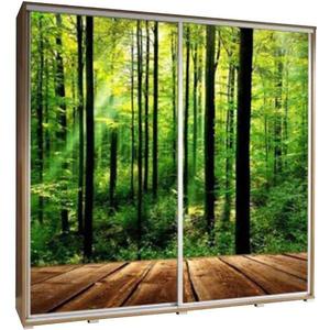 Skříň Penelopa 205 cm les obraz